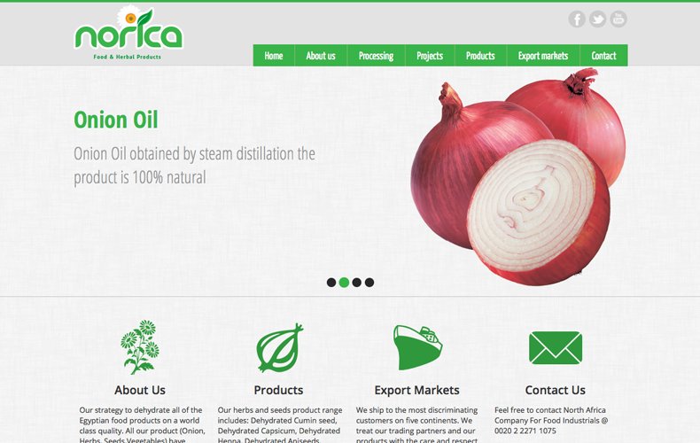 Norica Food Website Design and Development
