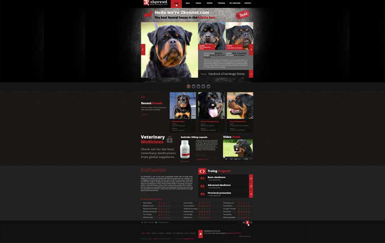 Zkennel Website Design and Development