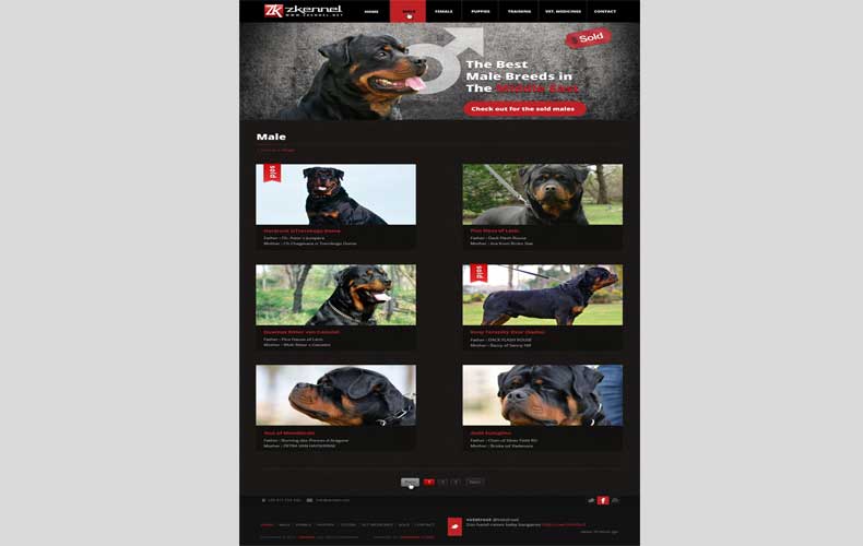 Zkennel Website Design and Development