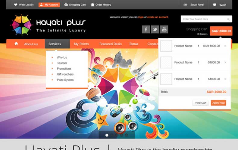 Hayati Plus Website Design and Development