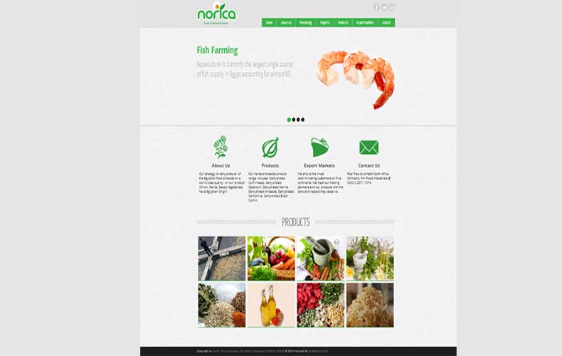 Norica Food Website Design and Development